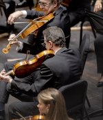 Tour: Chamber Concert in Brugge