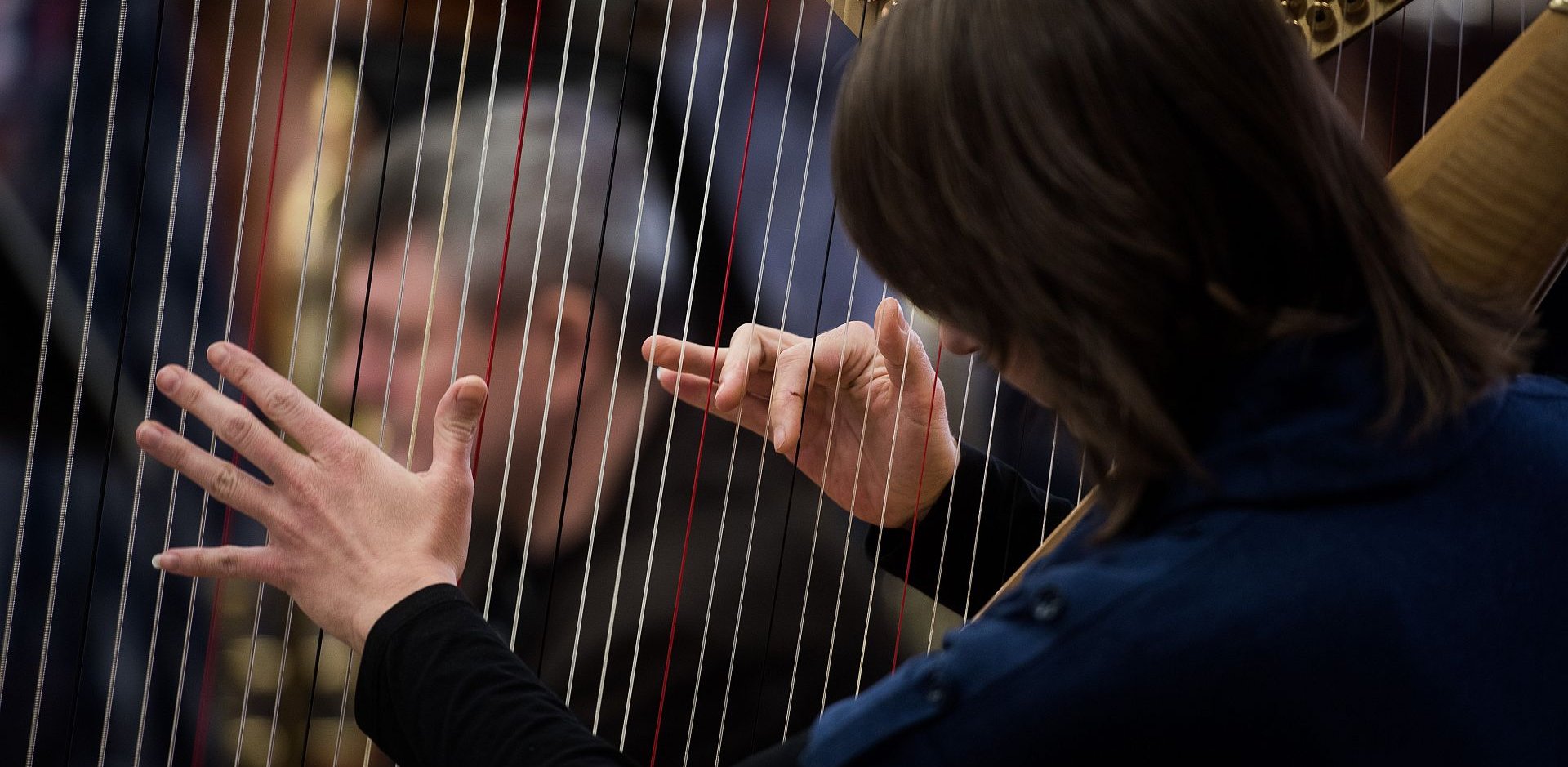 Harp – the Innovator