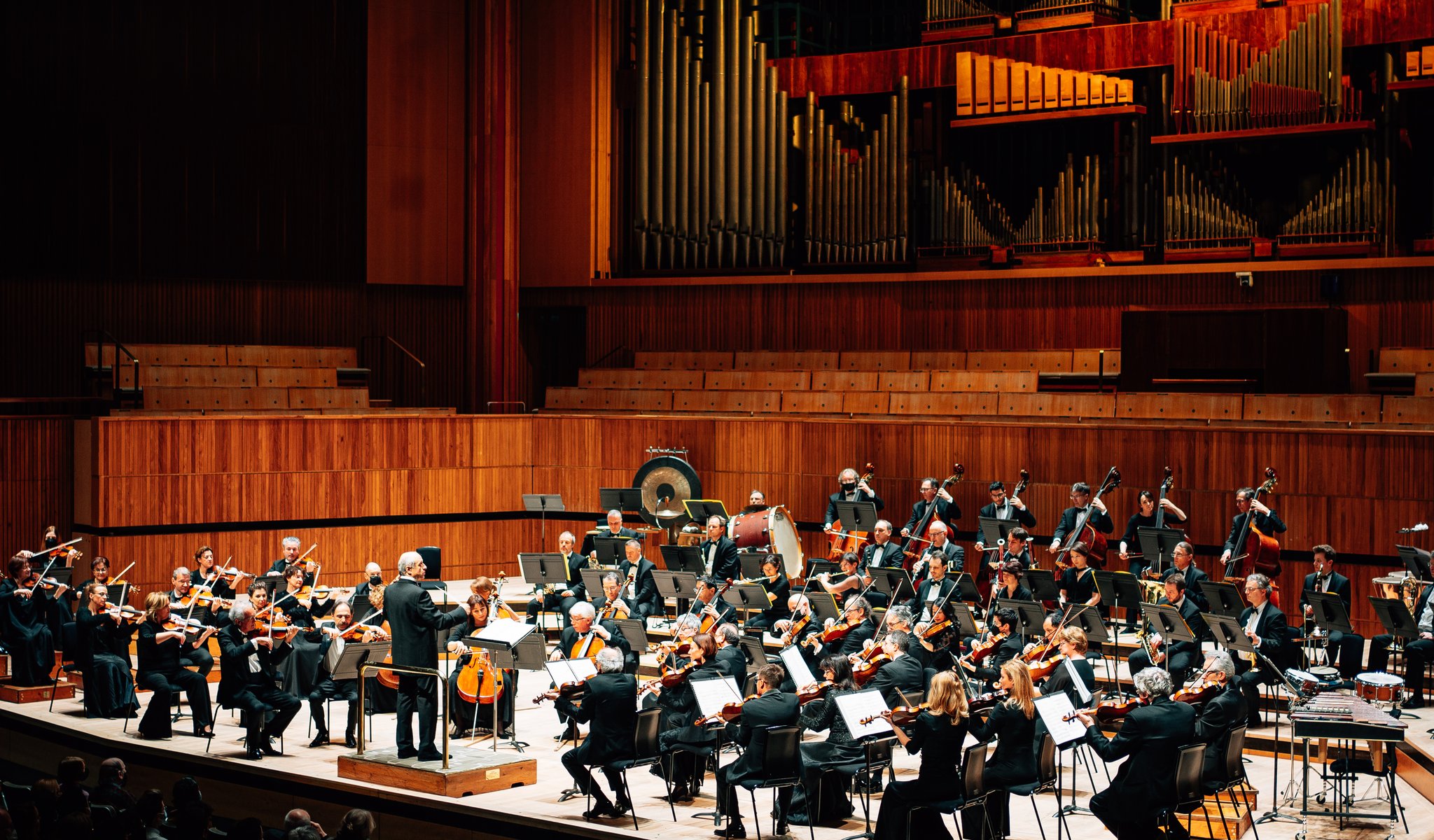 budapest-festival-orchestra-patricia-kopatchinskaja-by-parri-thomas_030.jpg